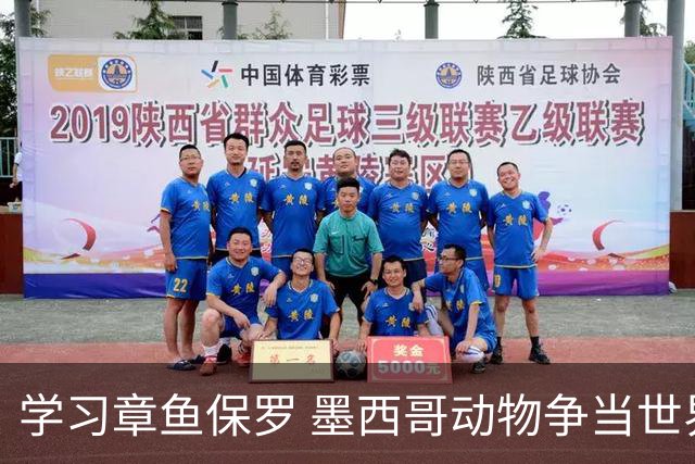 学习章鱼保罗 墨西哥动物争当世界杯预言家