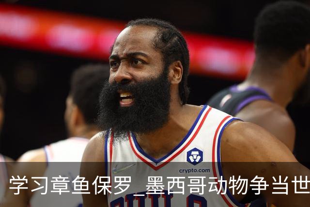 学习章鱼保罗 墨西哥动物争当世界杯预言家